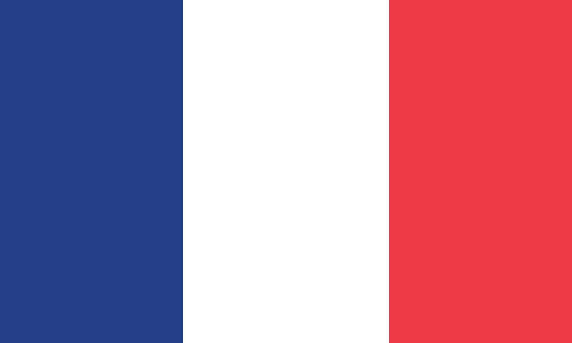 Vector illustration of the France flag generated